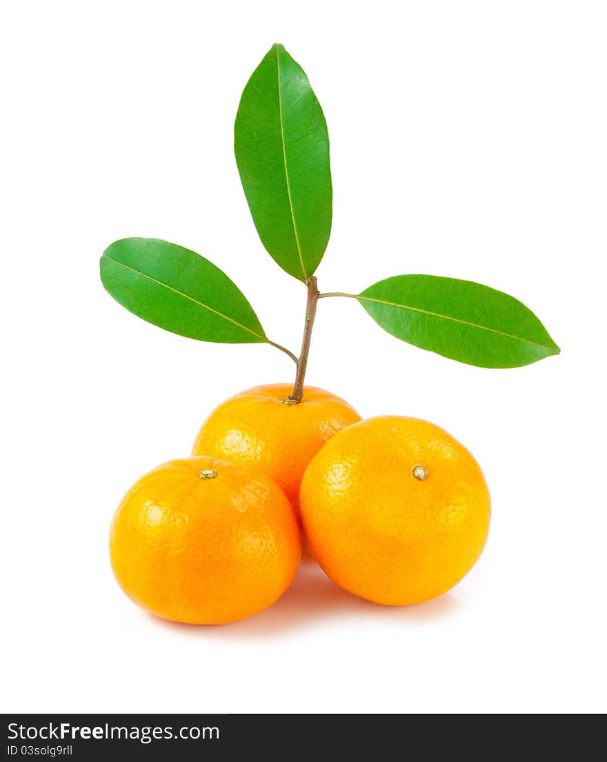 Orange on white background. Orange on white background