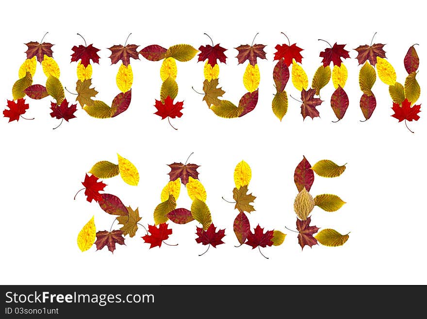 Autumn Sale