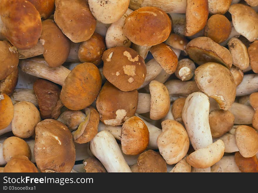 Mushrooms at a market