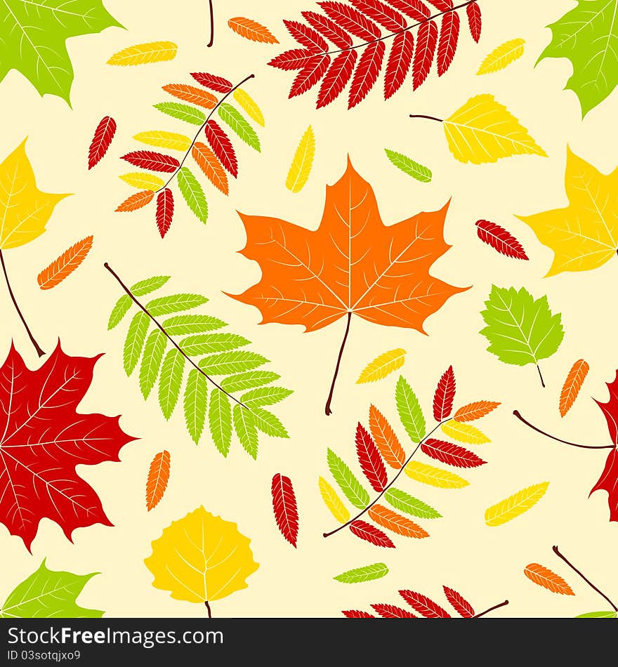 Autumn leaves. Seamless pattern. Vector background