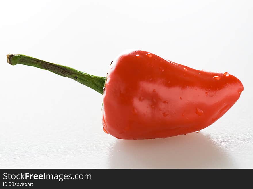 One Chilli pepper on white background