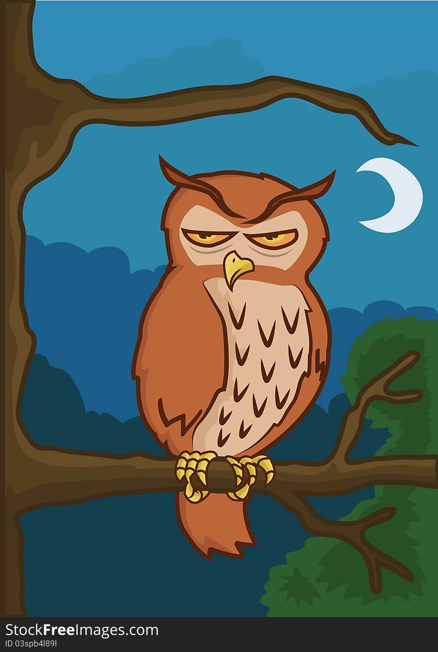 Owl sitting on branch at night. Owl sitting on branch at night