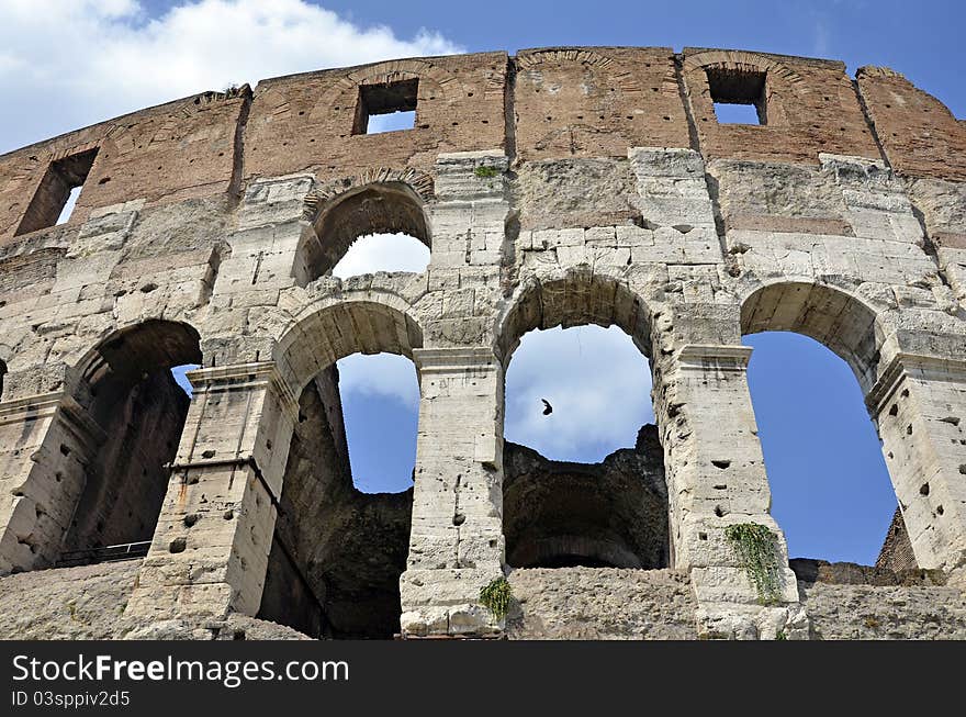 Colosseum detail in the historical center of Rome in Italy. Colosseum detail in the historical center of Rome in Italy