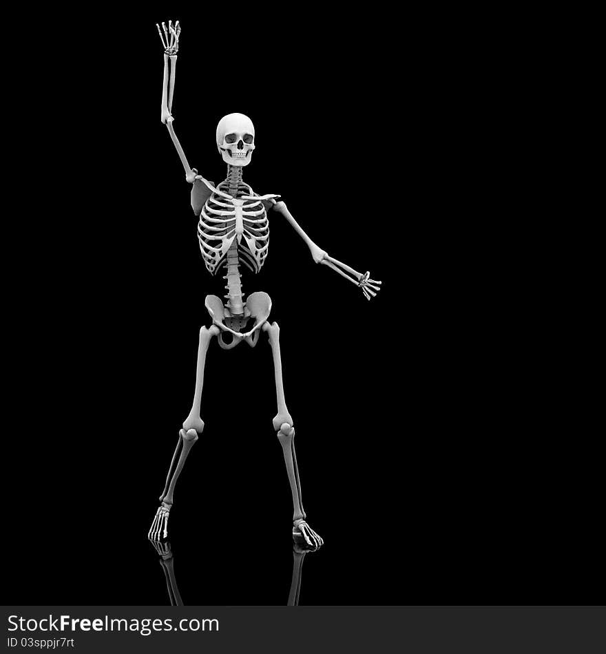 A skeleton in his scary pose for halloween. A skeleton in his scary pose for halloween