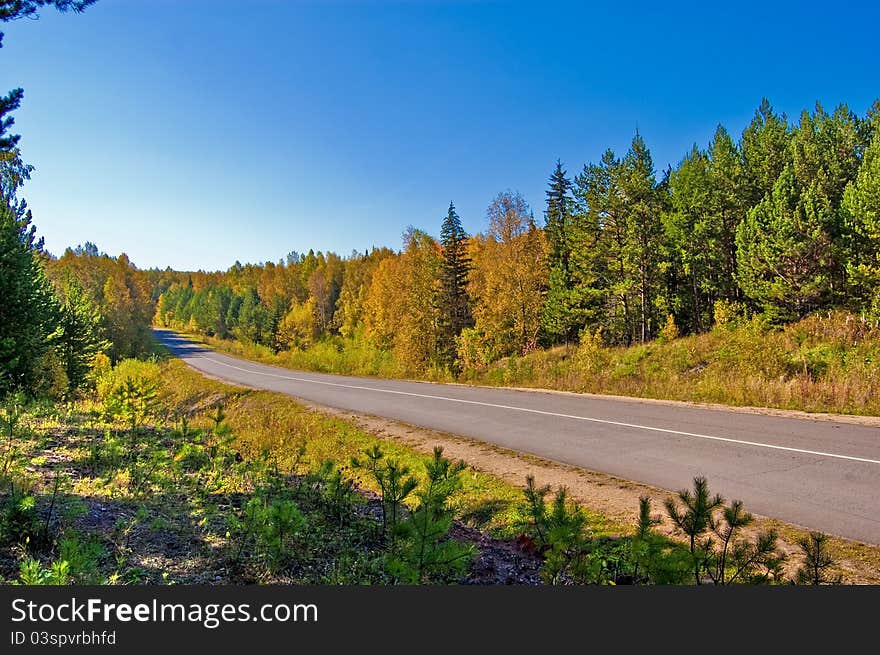 Suburban paved road in autumn. Suburban paved road in autumn.