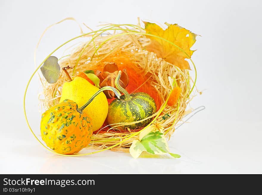 Autumn's basket shoot in studio