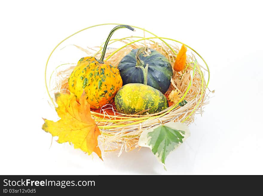 Autumn's basket shoot in studio