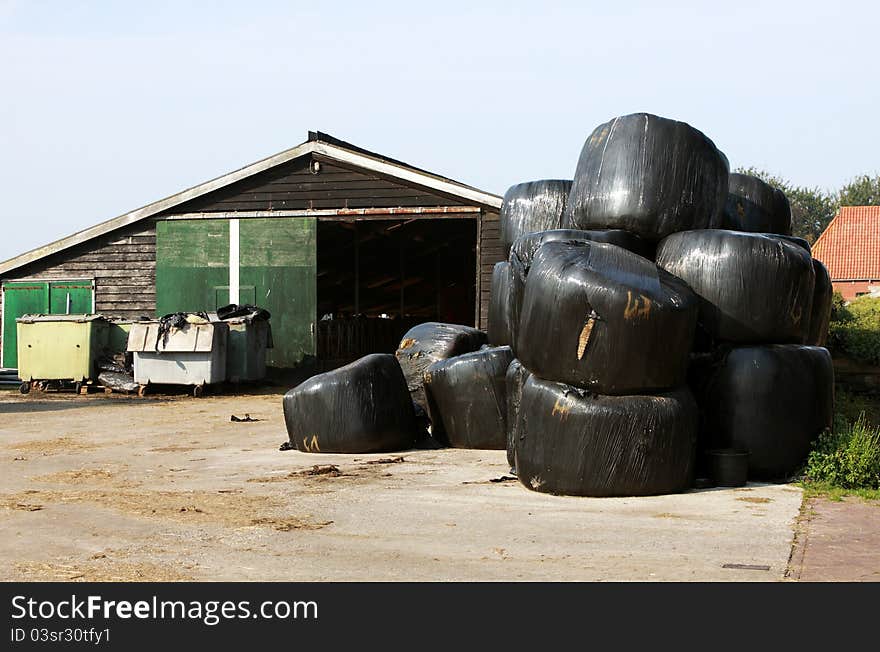 View on the farm yard outdoors. View on the farm yard outdoors