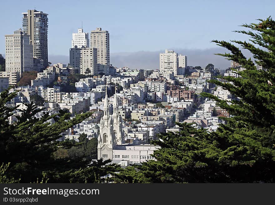 View of San Francisco from hilltop, foreground framed by green lush vegetation.