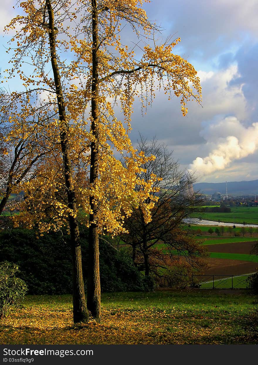 Photo of autumn trees in the background of a nuclear station. Photo of autumn trees in the background of a nuclear station