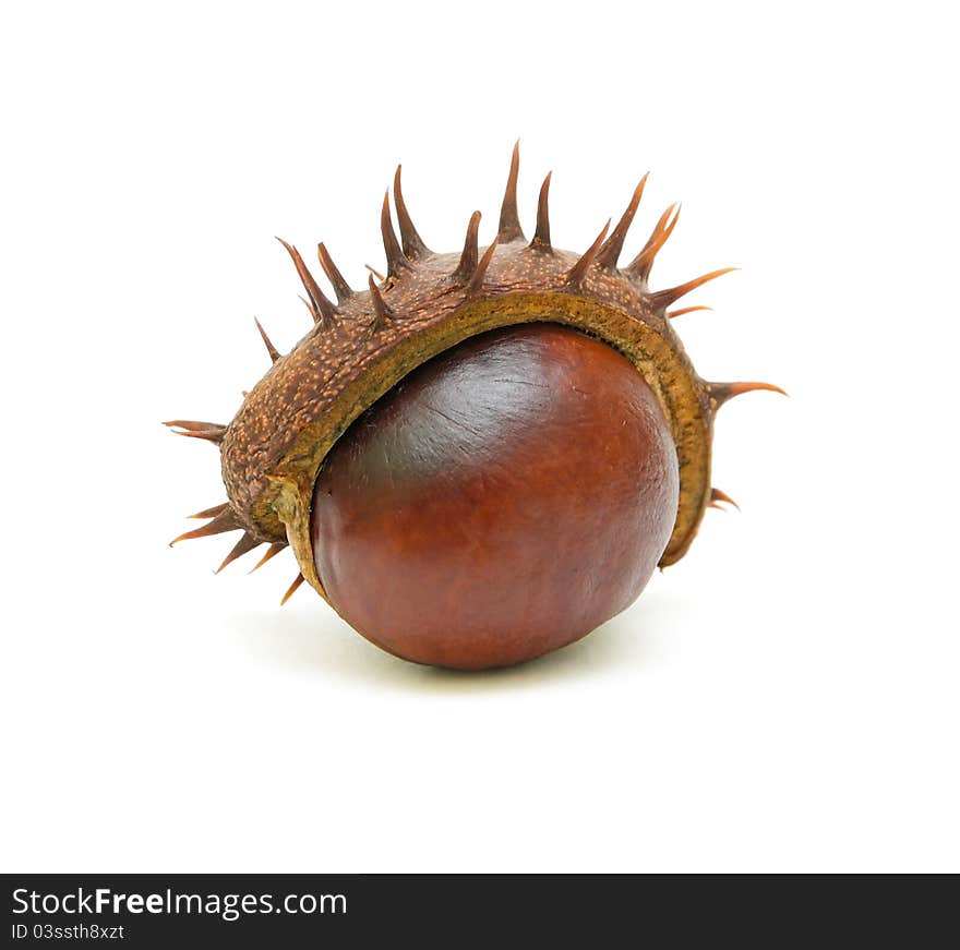 Ripe chestnuts with peel on a white background closeup. Ripe chestnuts with peel on a white background closeup