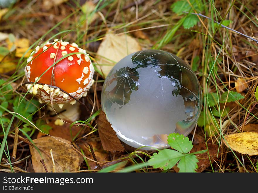 Amanita mushroom and crystal-clear Glass Globe. Amanita mushroom and crystal-clear Glass Globe