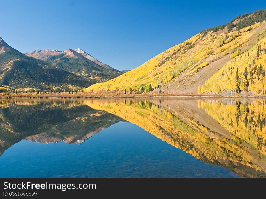 Fall reflects golden aspens in Crystal Lake near Ouray Colorado. Fall reflects golden aspens in Crystal Lake near Ouray Colorado