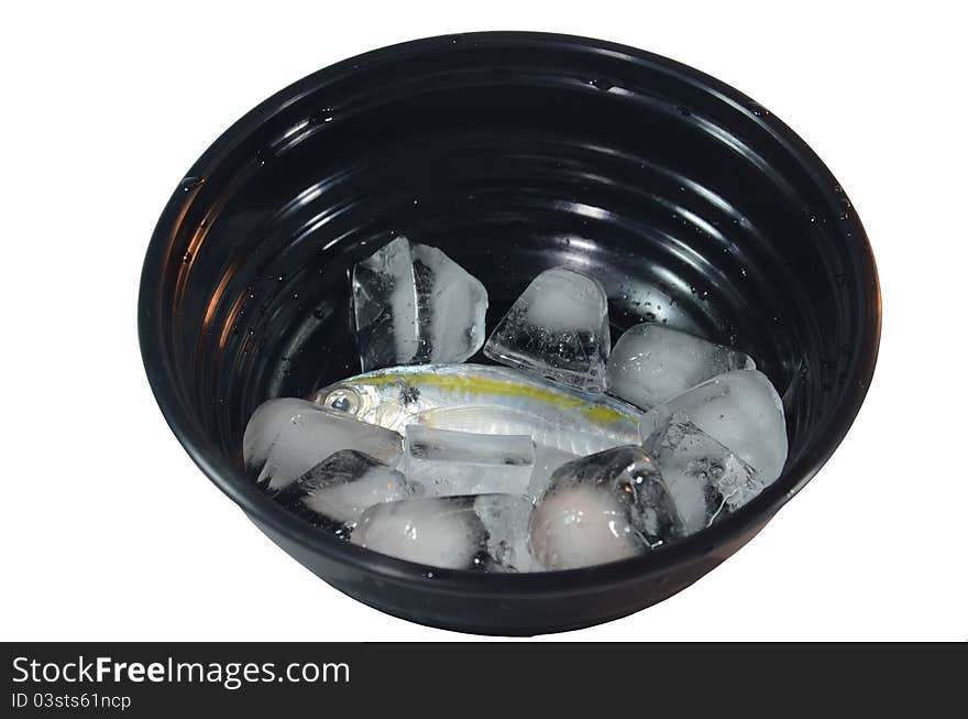 Fish On Black Bowl with ice