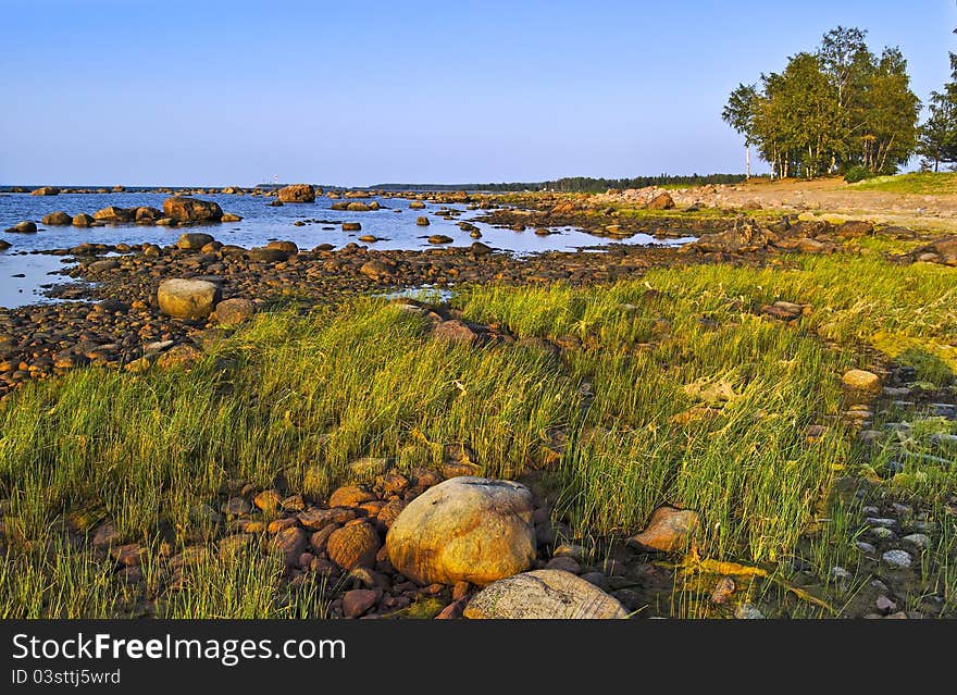 Summer evening on the shore of Lake