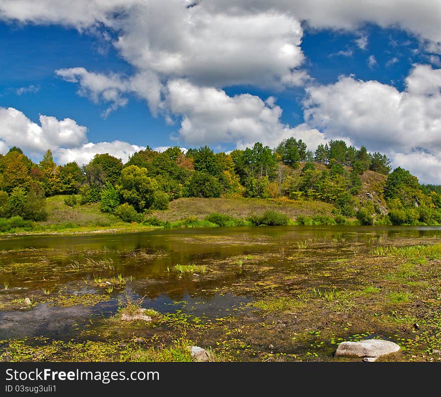 Shallow river near forest