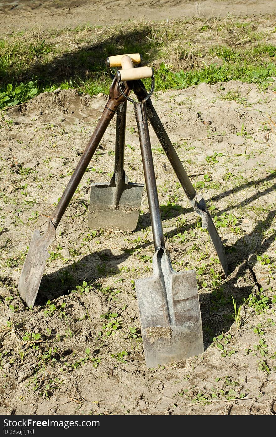 Four spades arranged upright in a garden. Four spades arranged upright in a garden