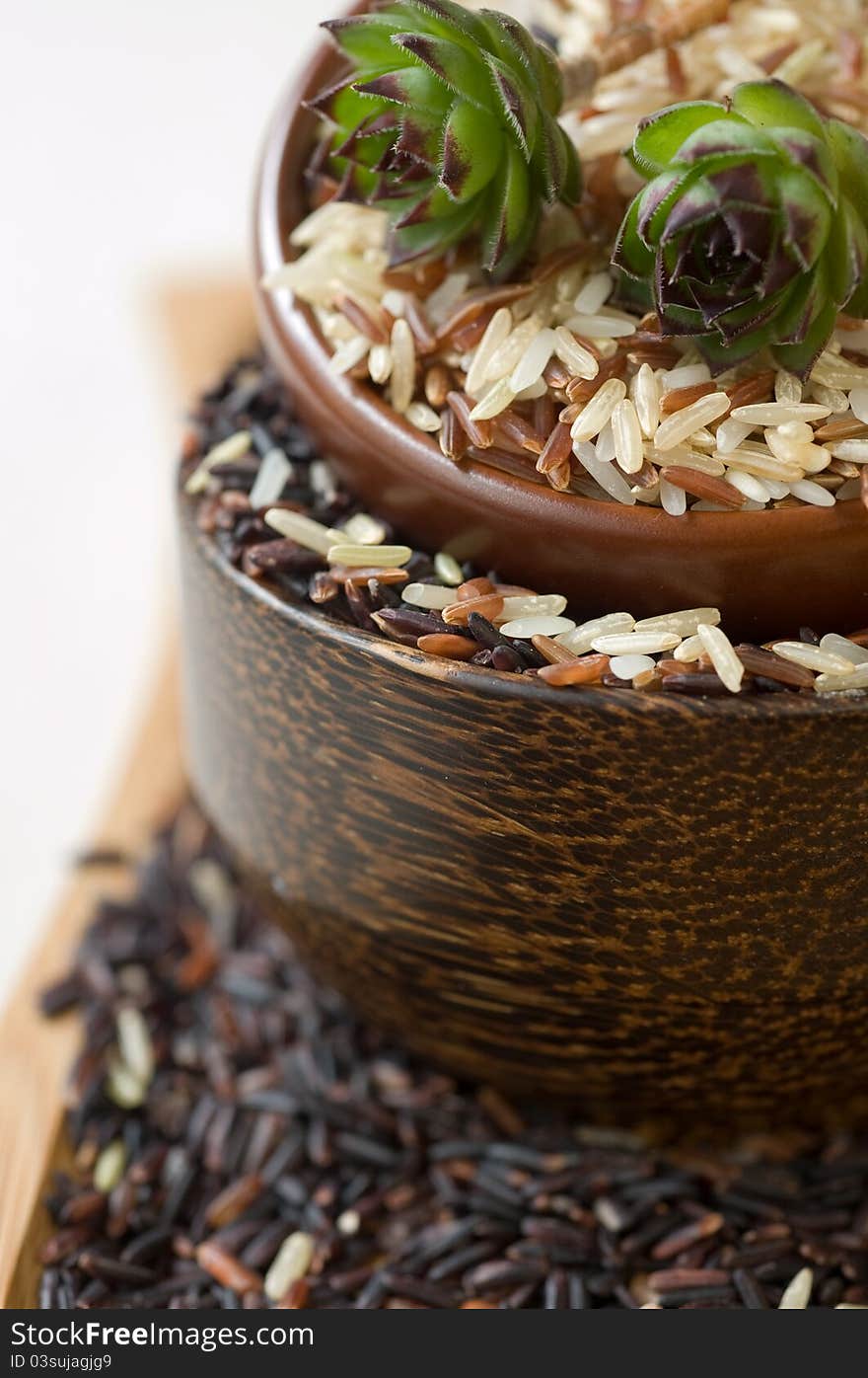 Uncooked rice in a  bowls. Uncooked rice in a  bowls