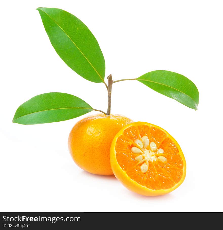 Orange on white background. Orange on white background