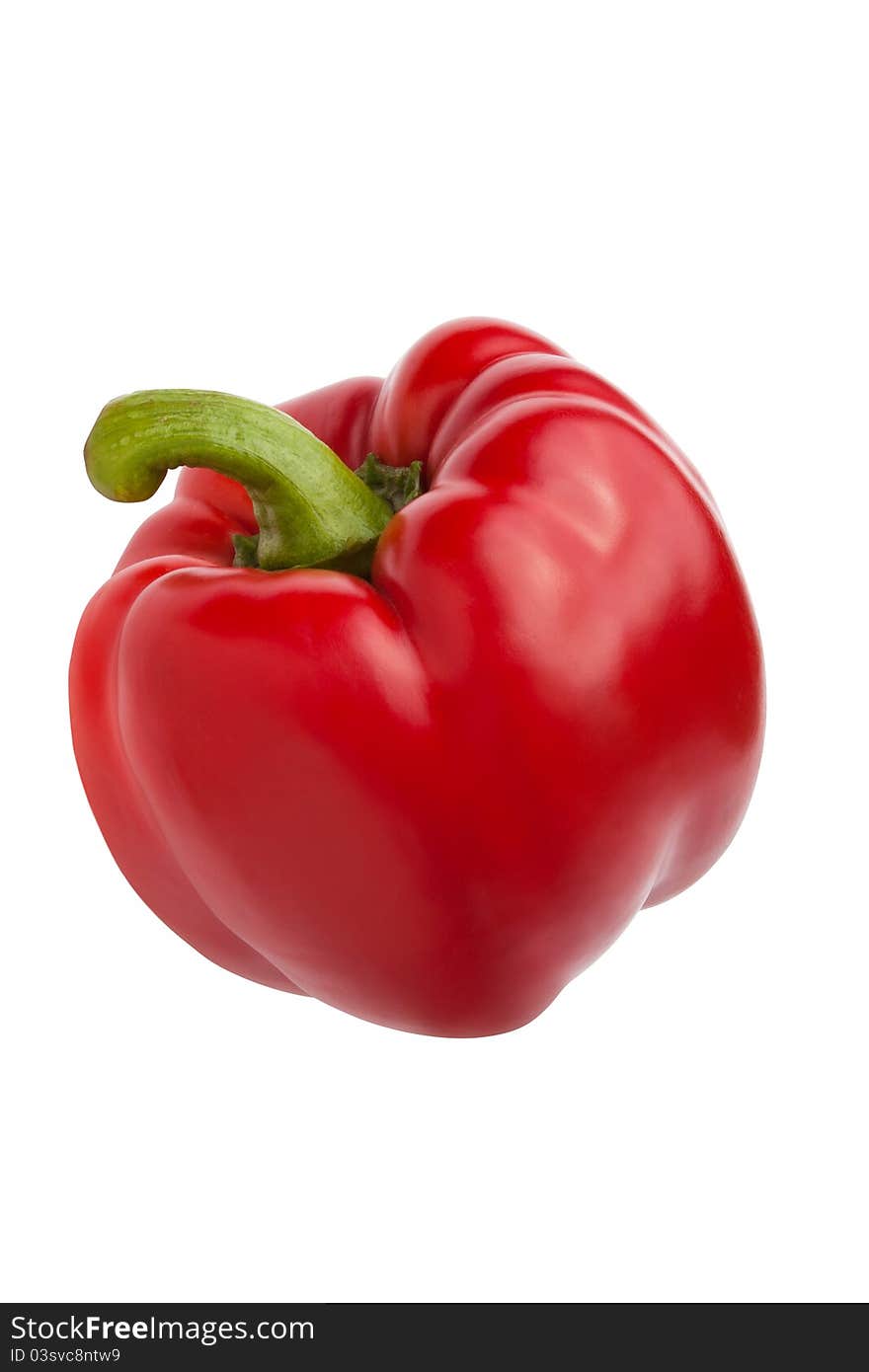 Single Red Bell-pepper