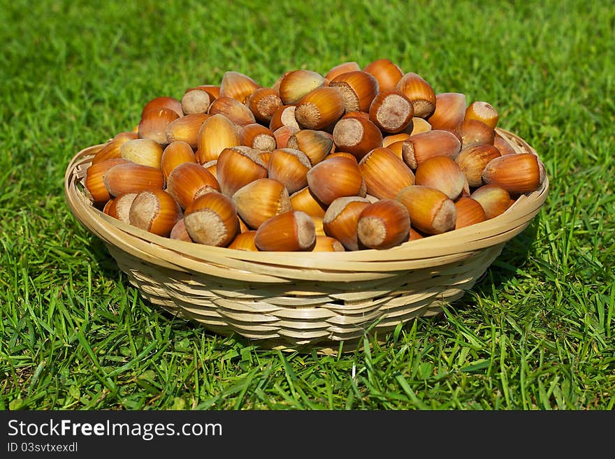 Basket full of hazelnuts