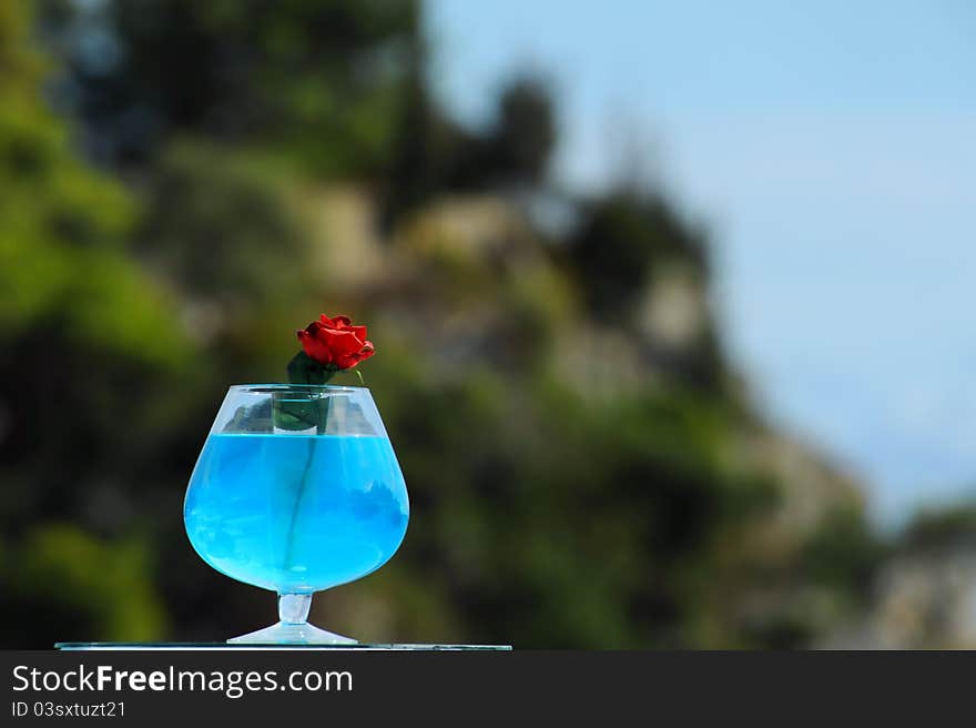 Vase with blue water and red rose