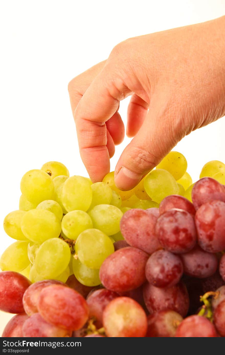 Female hand picking fresh grapes