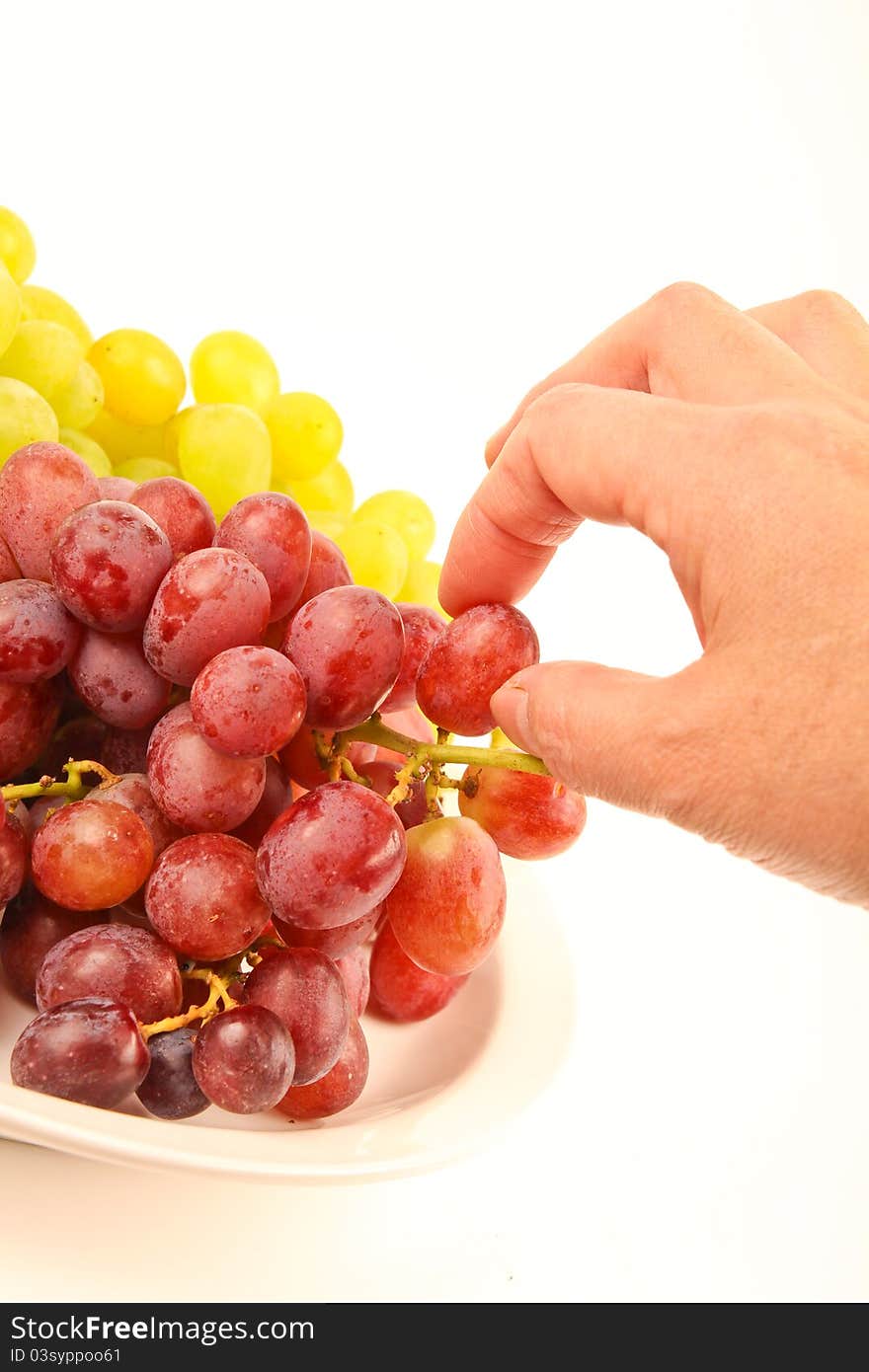 Female hand picking fresh grapes