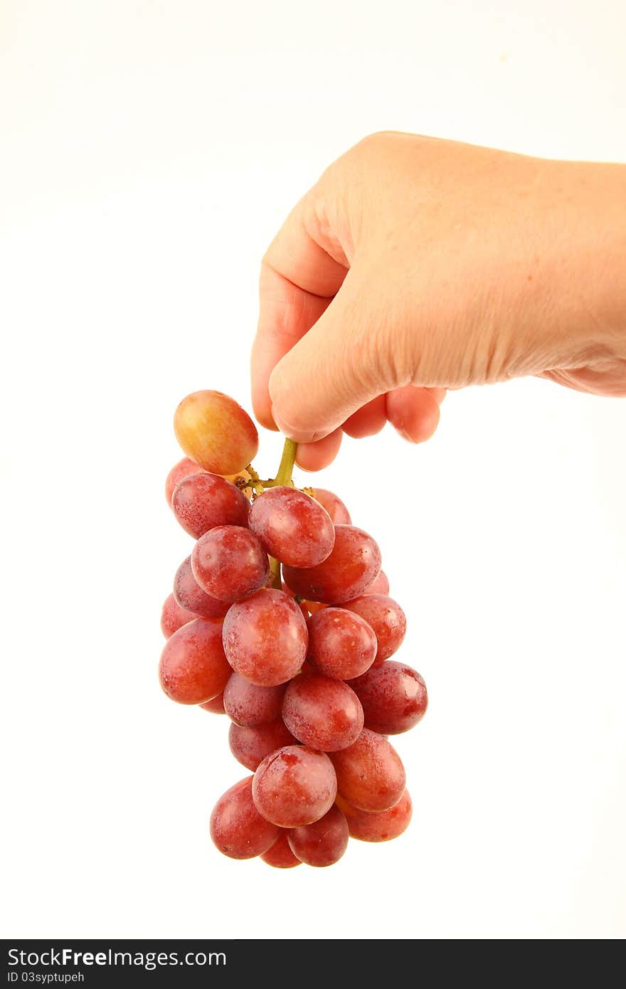 Female hands holding fresh grapes. Close up on white background