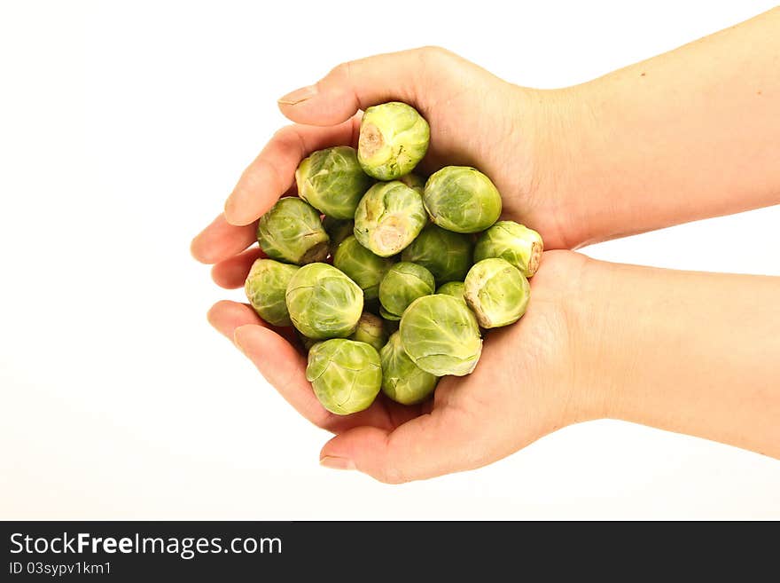 Female hands holding fresh Brussels sprouts. Picture taken from above. Close up on white background