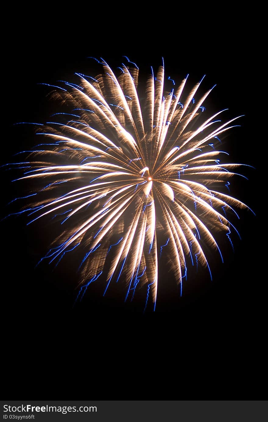 A firework bursts into the night over Bodega Bay, Ca. A firework bursts into the night over Bodega Bay, Ca.