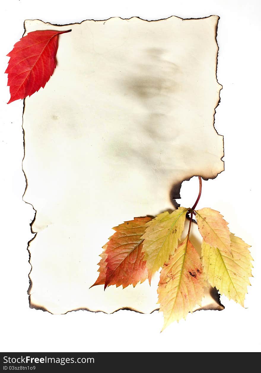 Autumn Leaves on Old burnt Paper. Autumn Leaves on Old burnt Paper