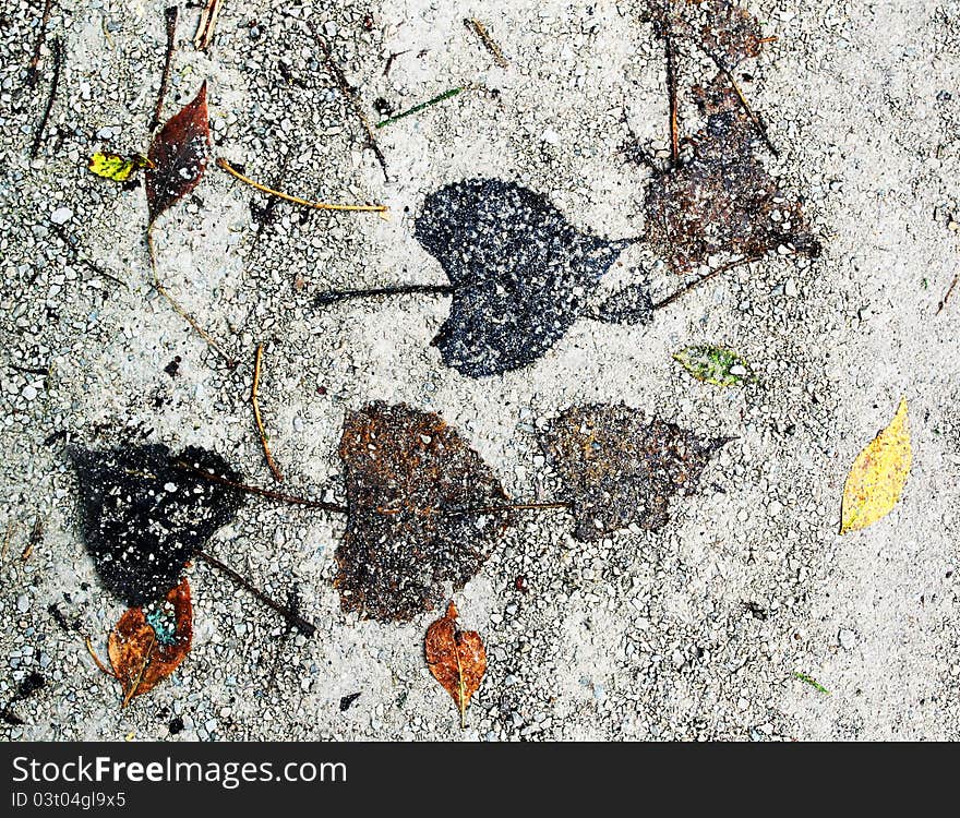 Abstract autumn leaves on the ground. Abstract autumn leaves on the ground