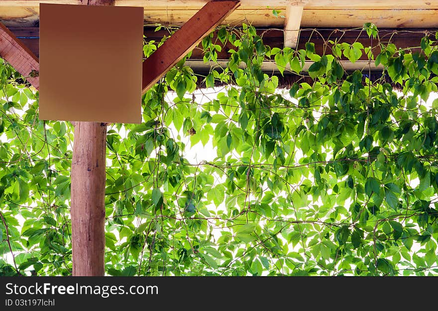 Interior of a balcony with leafs.