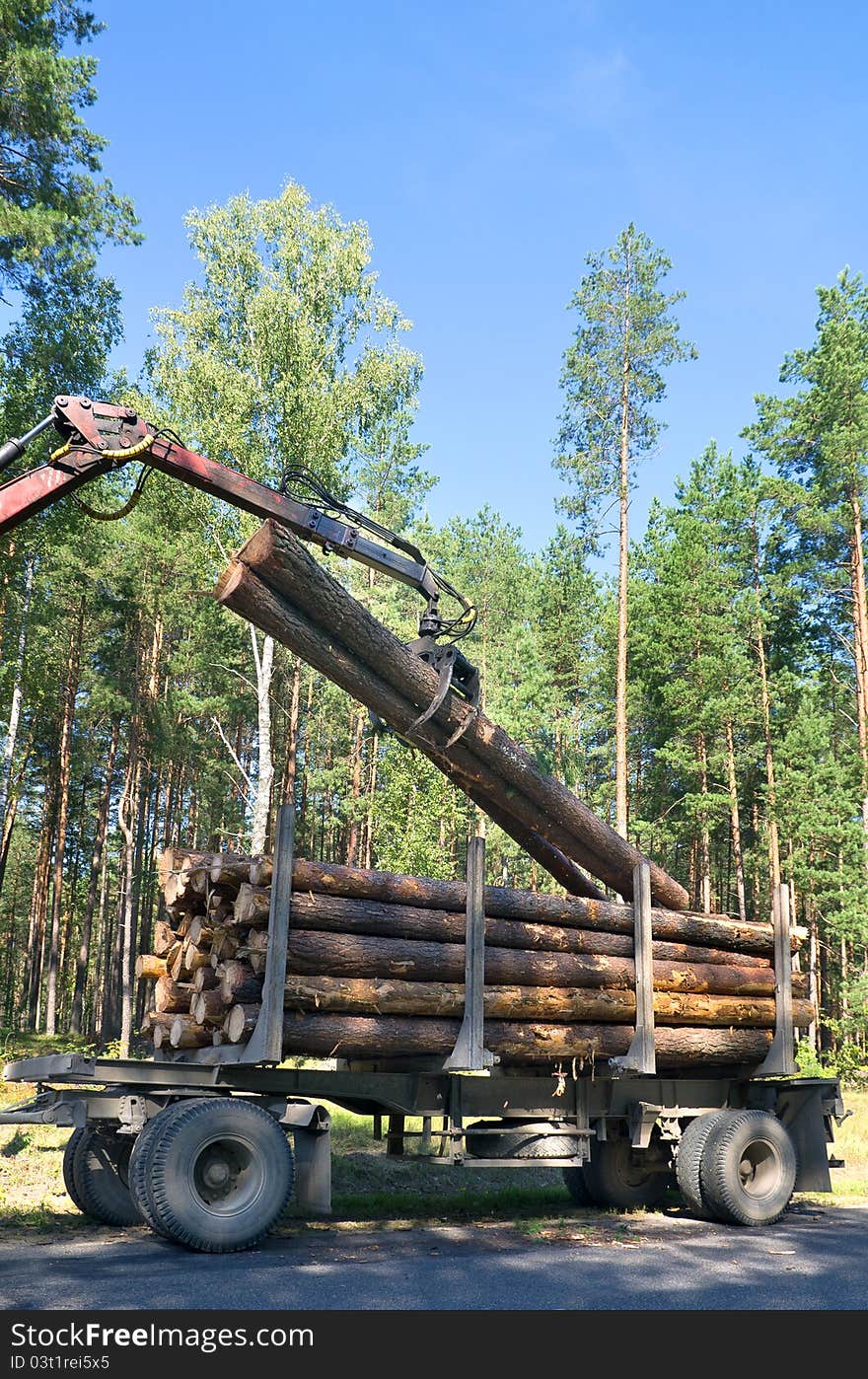 Loading felled trees in the timber crane. Loading felled trees in the timber crane.