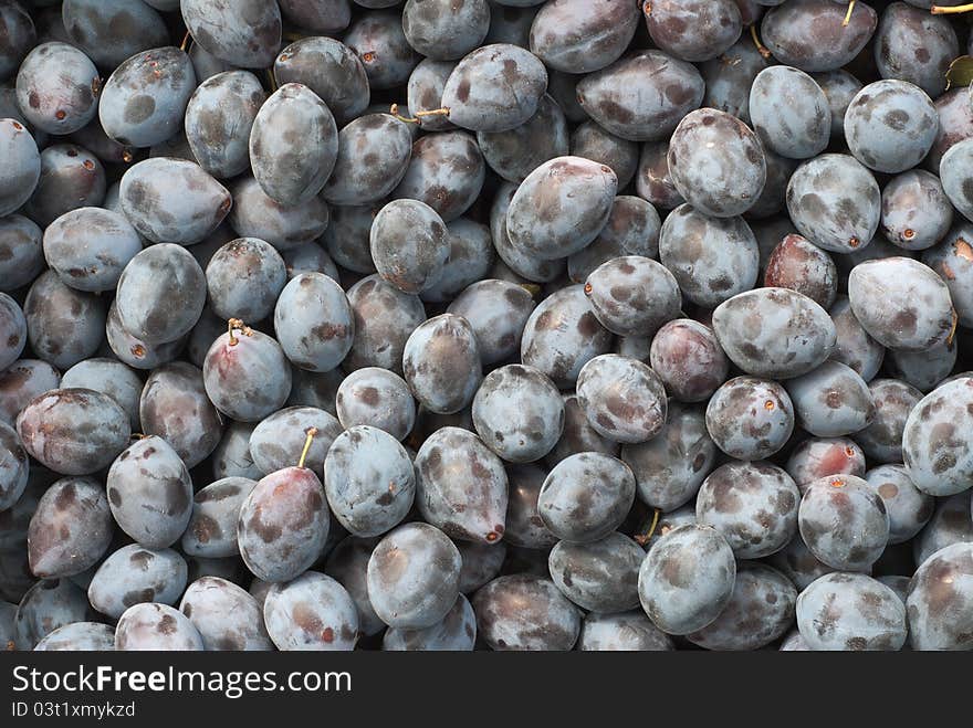 Bunch of ripe blue plums