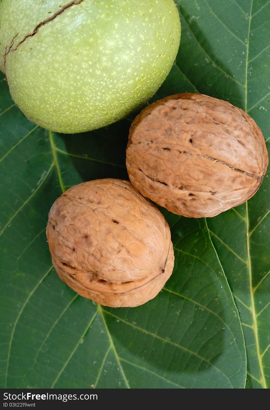 Series of organic and fresh the walnuts