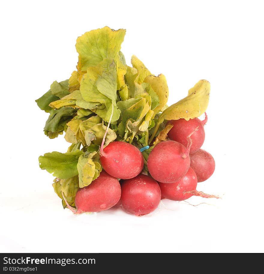 Garden radish bunch