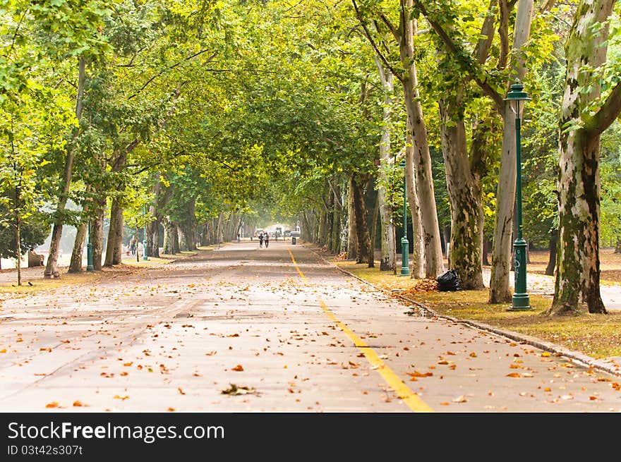 A long road in the park