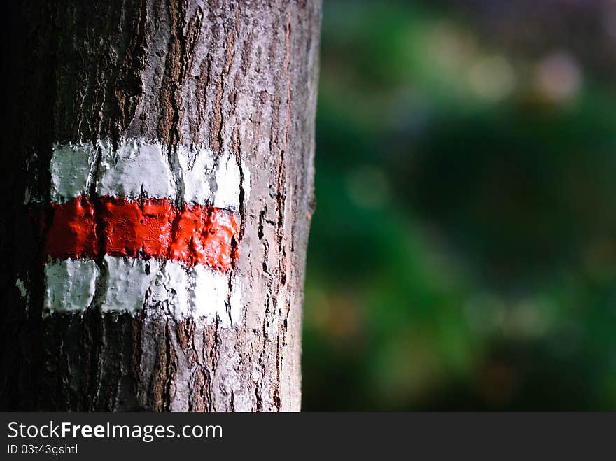 Typical Czech tourist path mark on a tree. Typical Czech tourist path mark on a tree.