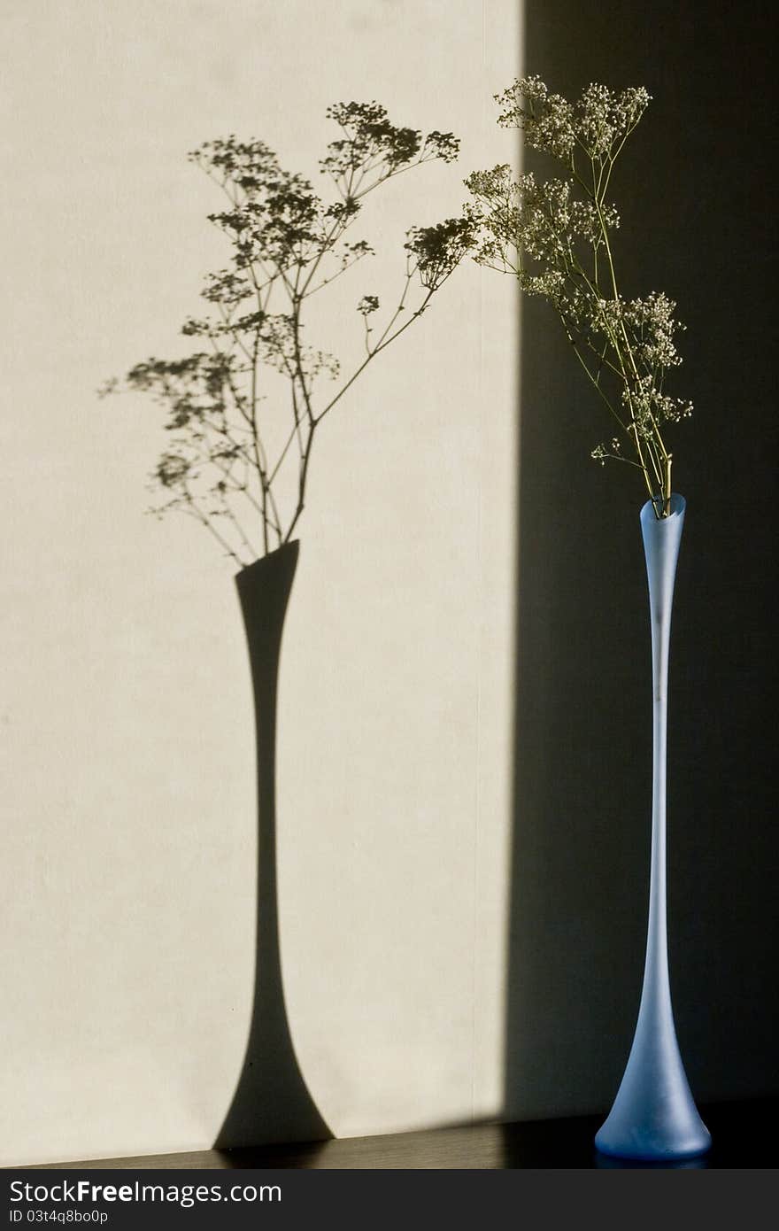 Gypsophila bungeana in glass vase