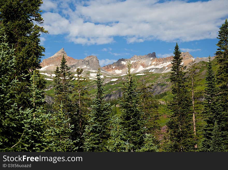 Snow-capped Mountains With Pine Trees.