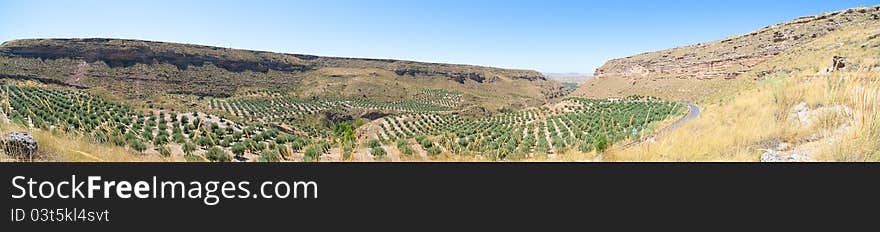 Panorama view of the canyon in Spain near Corafe Sierra Nevada. Panorama view of the canyon in Spain near Corafe Sierra Nevada.