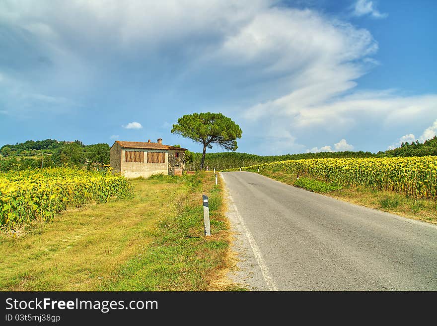 Tuscany Panorama - Italy