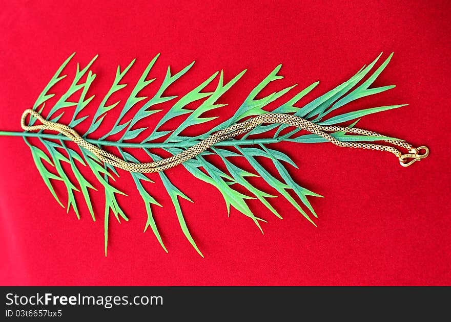 Gold chains laid on green leaf on red background