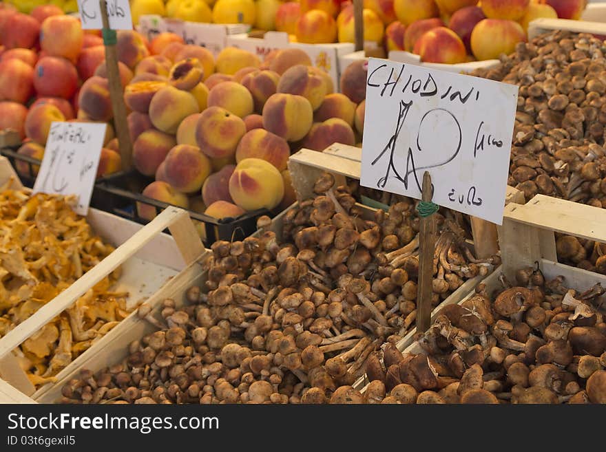 Mushrooms and fruits exposed to the Italian marketplace with price tags. Mushrooms and fruits exposed to the Italian marketplace with price tags