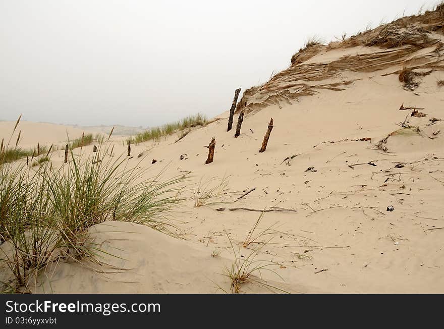 Dunes cloudy landscape