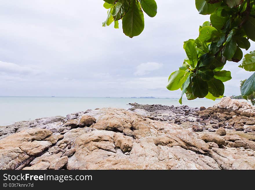 Rocky beach by the sea.