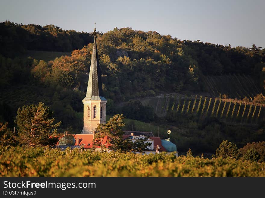 Photo of vineyard and church