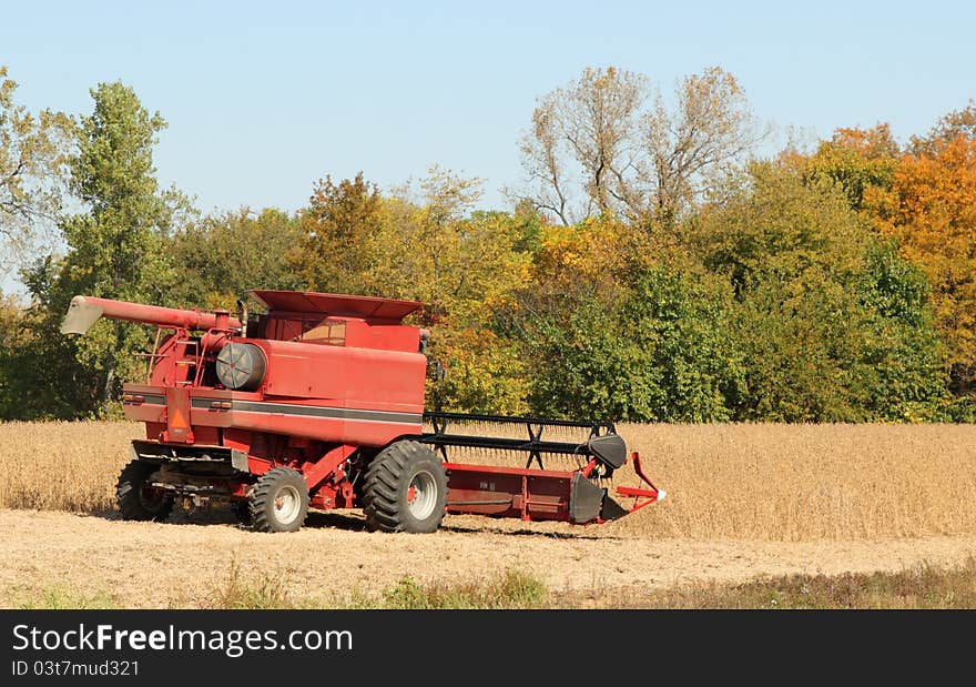 Red combine harvesting soy beans on a fall day with a clear blue sky. Red combine harvesting soy beans on a fall day with a clear blue sky